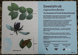A 2014 project of the Friends of the Louisiana State Arboretum created durable interpretive signage found throughout the trail system.